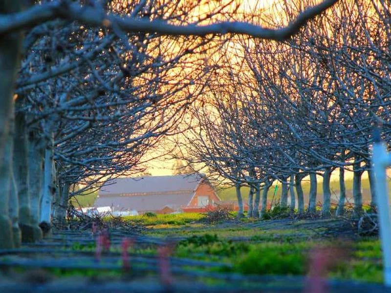레터링 타투 열풍, 의미 있는 문구 새기기 유행