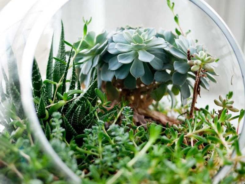 핸드포크 타투 재조명, 전통 기법의 매력