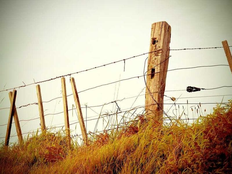 국제 타투 컨벤션 2025, 부산에서 개최 확정